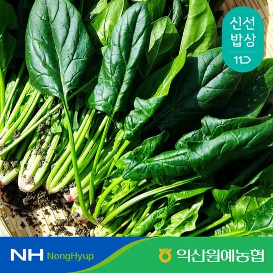 국내산 시금치 특 1kg