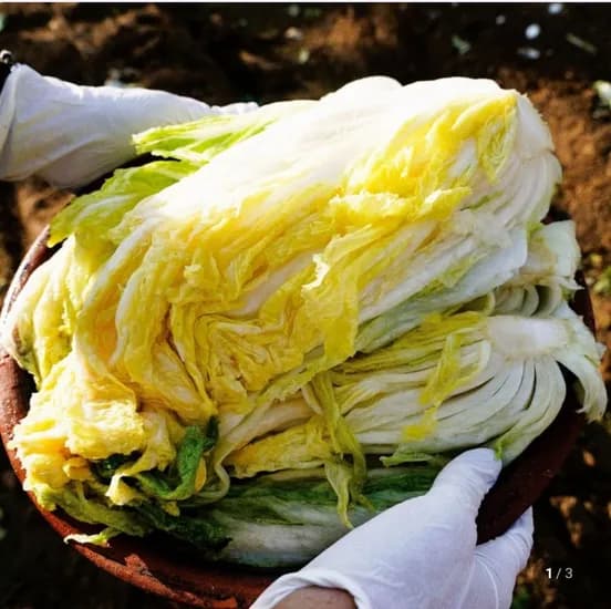 해남 절임배추 0kg