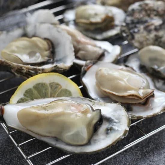 여수 석화굴 0kg