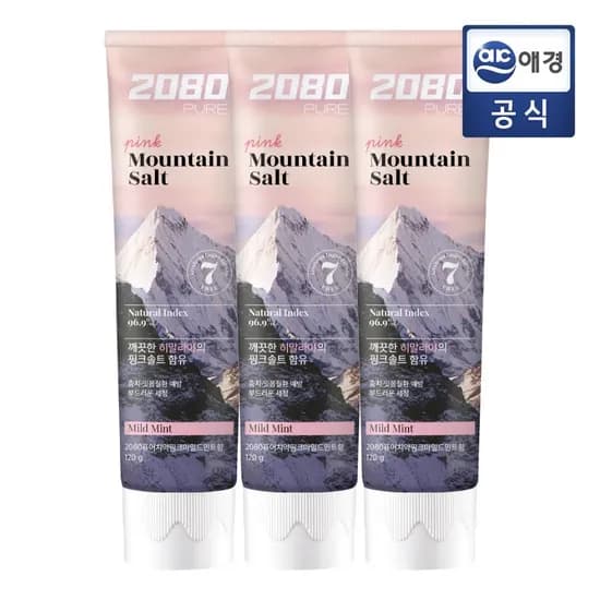 2080 히말라야 퓨어마운틴 솔트치약 120g 12개