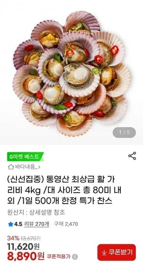 통영산 활 가리비 4kg 80미 내외