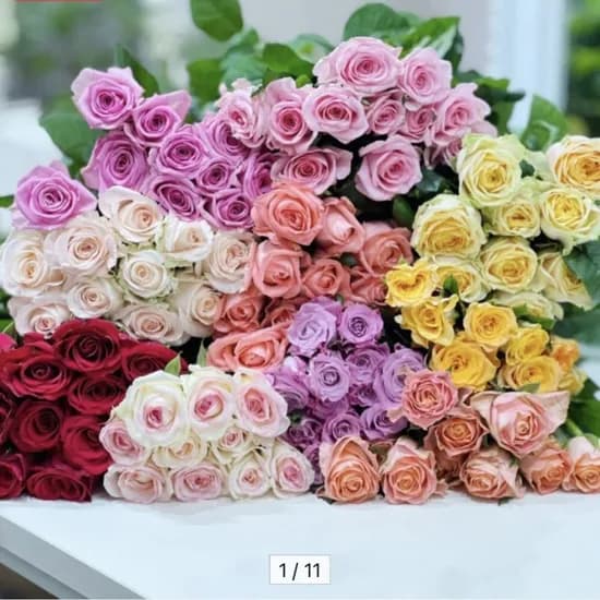 장미 10송이