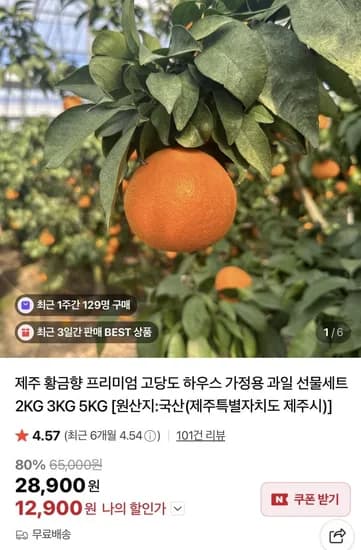 제주 황금향 꼬마과 3kg
