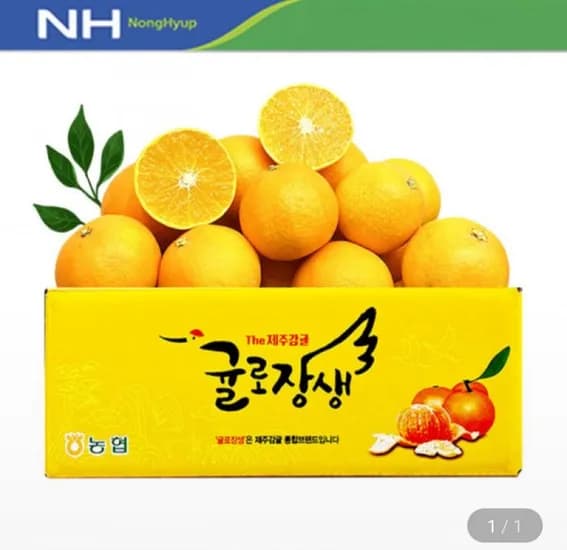 햇 황금향 4kg