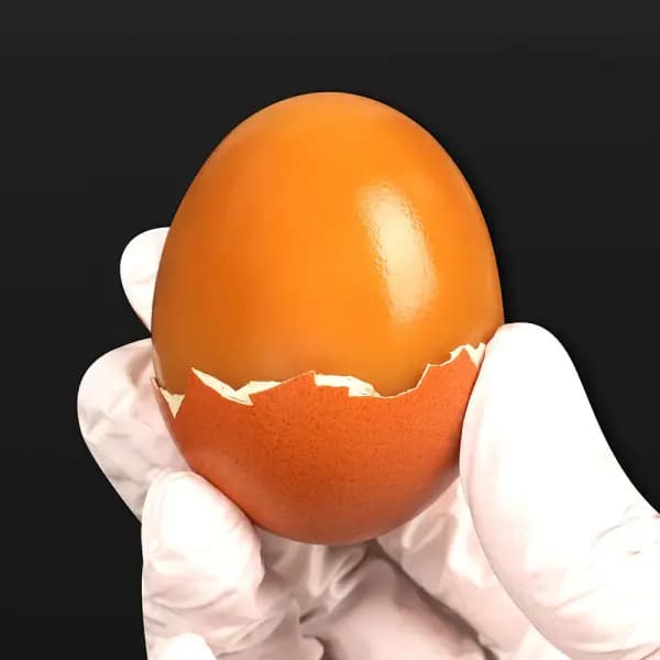 국내산 구운계란 중란/대란 30구