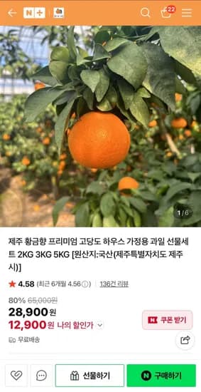 제주 황금향 프리미엄 고당도 꼬마과 3kg