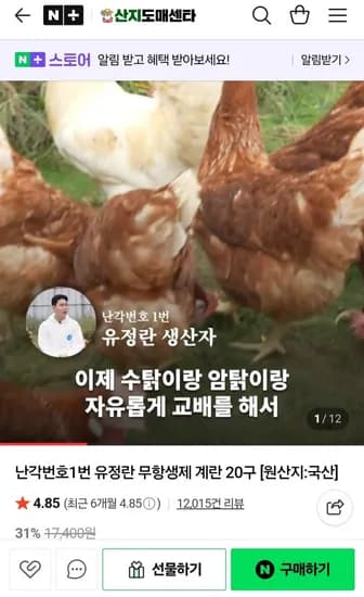 유정란 무항생제 계란 20구