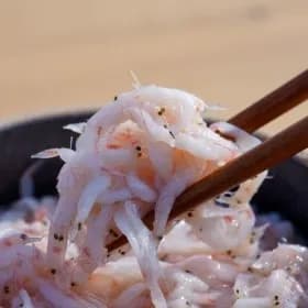 국내산 새우젓 추젓 2kg
