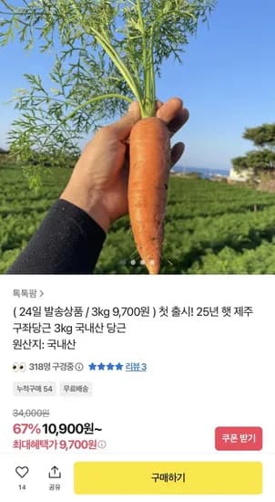 25년 햇 제주 구좌당근 3kg