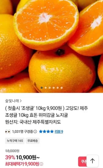 제주 조생귤 10kg