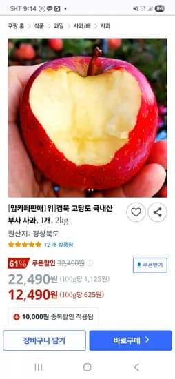 경북 고당도 국내산 부사 사과 2kg