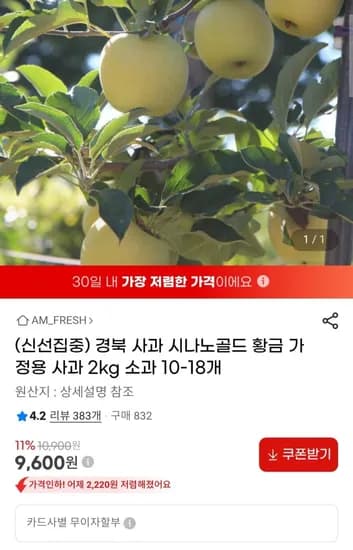 경북 사과 시나노골드 황금 가정용 사과 2kg