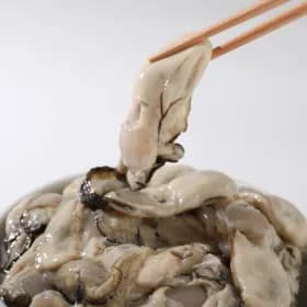 제철 통영 생굴 2kg