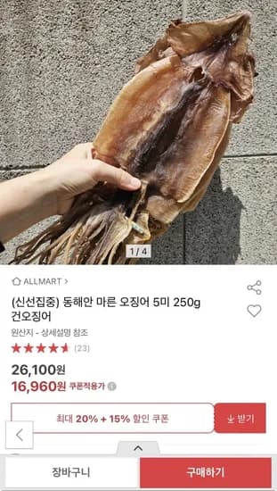 동해안 마른 오징어 5미 250g