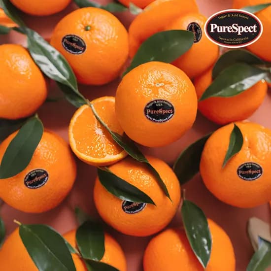 5브릭스 상등급 오렌지 2kg 8과