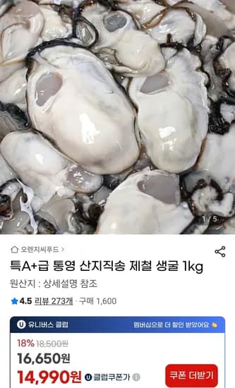 통영 제철 생굴 1kg