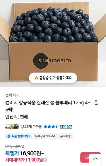 칠레산 생 블루베리 125g 5팩