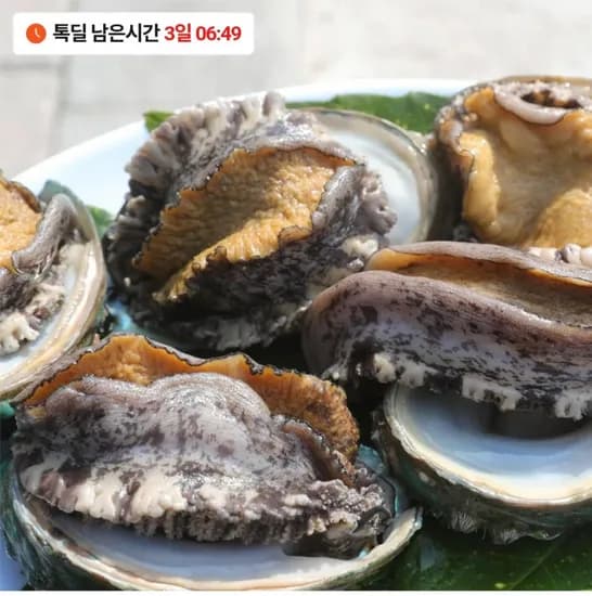 완도 활전복 1kg (6~8미)