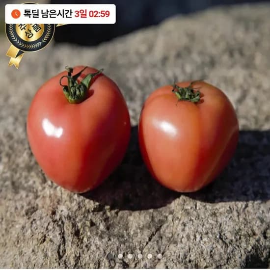국내산 완숙토마토 2kg