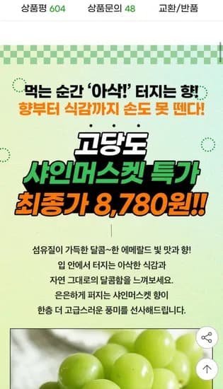 샤인머스켓 2kg 3-4수