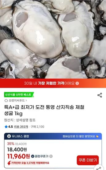 통영 제철 생굴 1kg