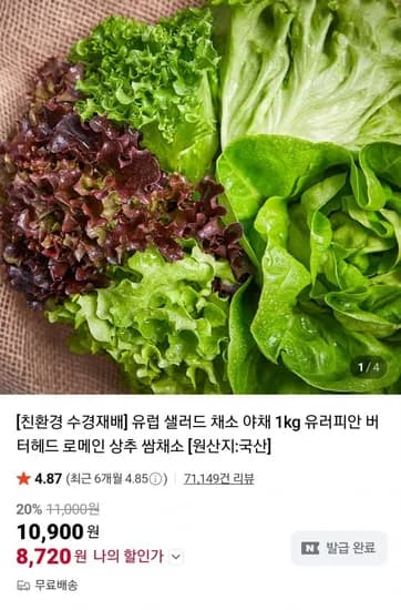 친환경 무농약 유럽 샐러드 채소 1kg 4~6종