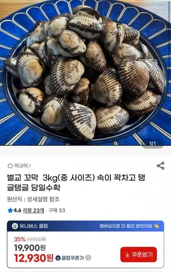 벌교 꼬막 3kg 중사이즈