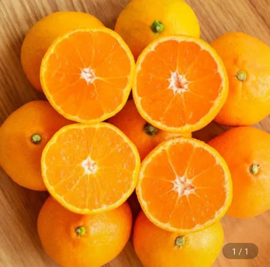 타이백 조생감귤 4.5kg 2S-M