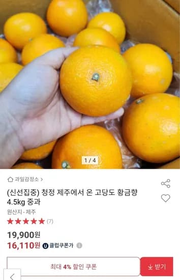 제주 고당도 황금향 중과 4.5kg