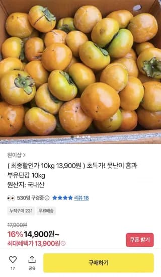 부유단감 10kg