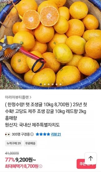 조생귤 대과 10kg