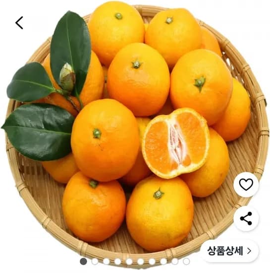 제주 극조생 감귤 5kg 중대과 (8,500원/무료)