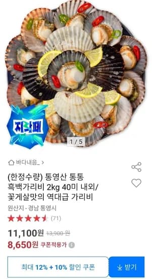 통영산 통통 흑백가리비 40미 내외