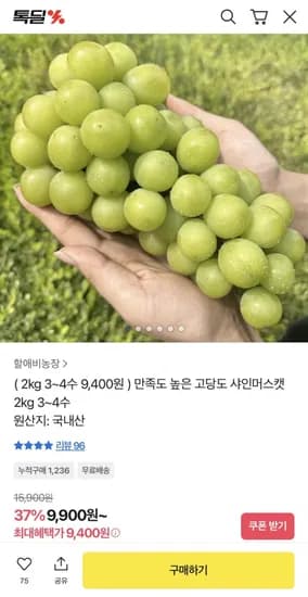 고당도 샤인머스켓 2kg