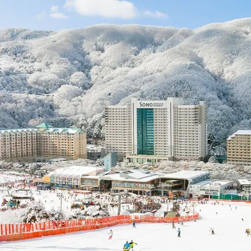 소노벨 비발디파크 객실 오션월드 3인 패키지