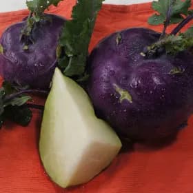 제주산 콜라비 5kg 5~10수