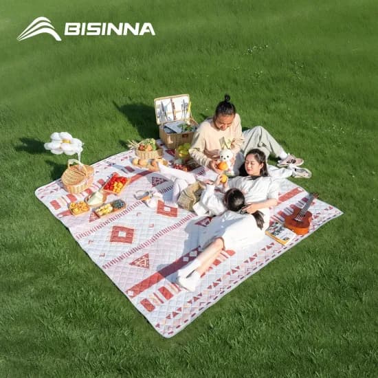BISINNA 야외 바베큐 그릴 팬, 야외 접이식 텐트