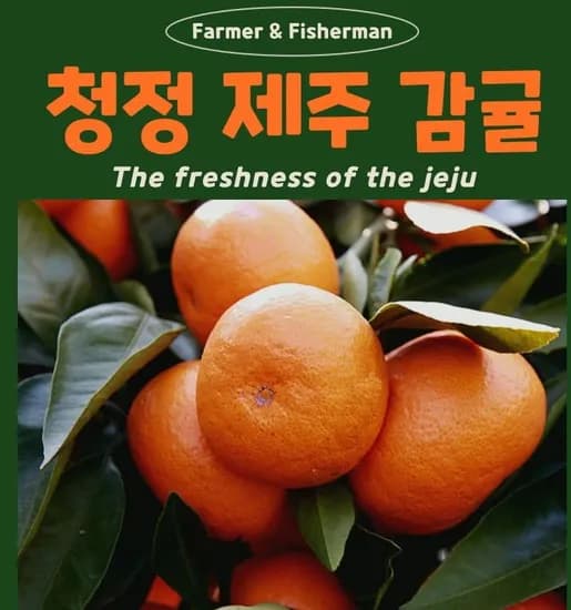 그린향 하우스 비가림 타이백 조생귤 대과 5kg