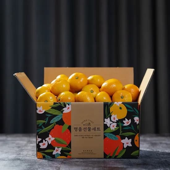 제주 조생 노지감귤 4.5kg 소과