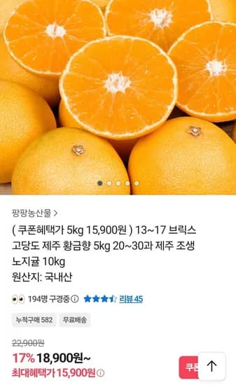 제주 황금향 중소과 5kg