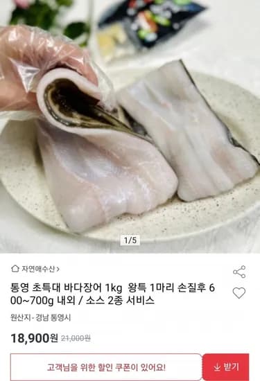 통영 바다장어 1kg 왕특 1마리