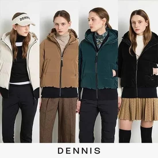 데니스 구스 숏다운점퍼