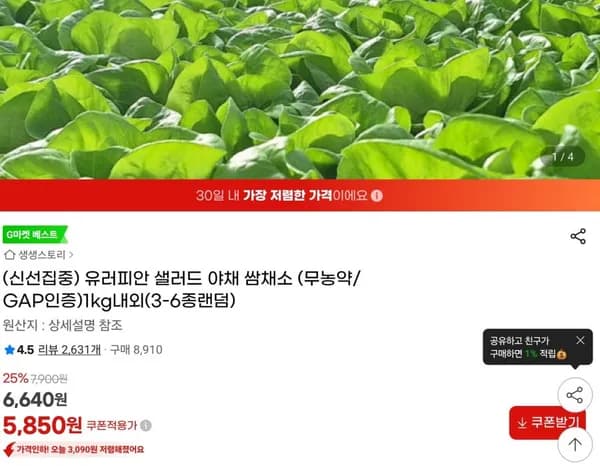 유러피안 쌈채소 1kg내외