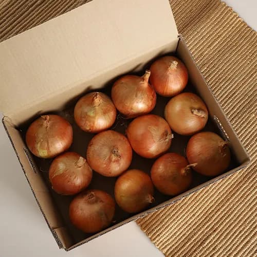 25년산 황토 햇양파 5kg 중대 10,100원