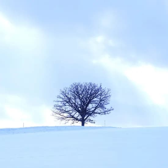 홋카이도 자유여행 3박 4일 3온천 노보리베츠 석수정 온천호텔 1박 시내 4성급 2박