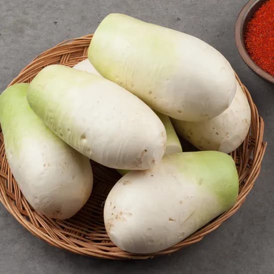 제주 세척 월동 무 0kg