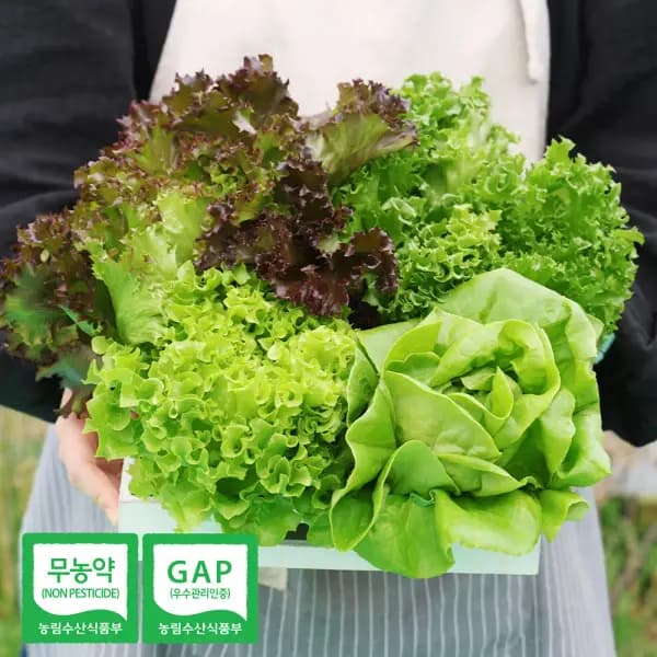 무농약 모듬 쌈채소 유러피안 샐러드 3-5종 1kg