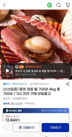 통영 제철 활 가리비 4kg 홍가리비