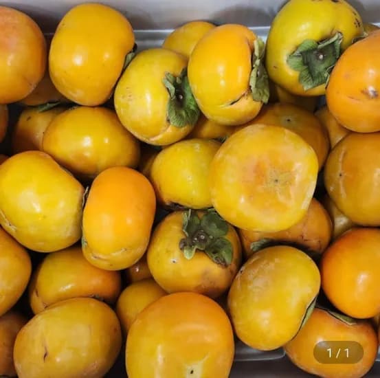 국내산 단감 5kg 중대과 23-27과