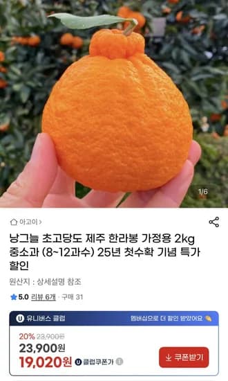 제주 한라봉 가정용 2kg
